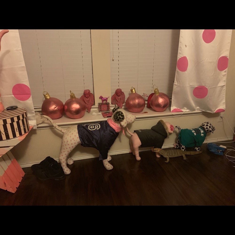 My collection